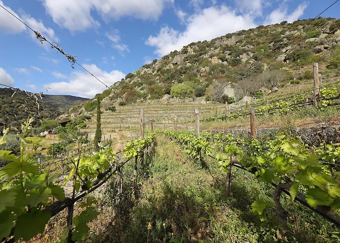 Quinta Da Ferradosa Wines