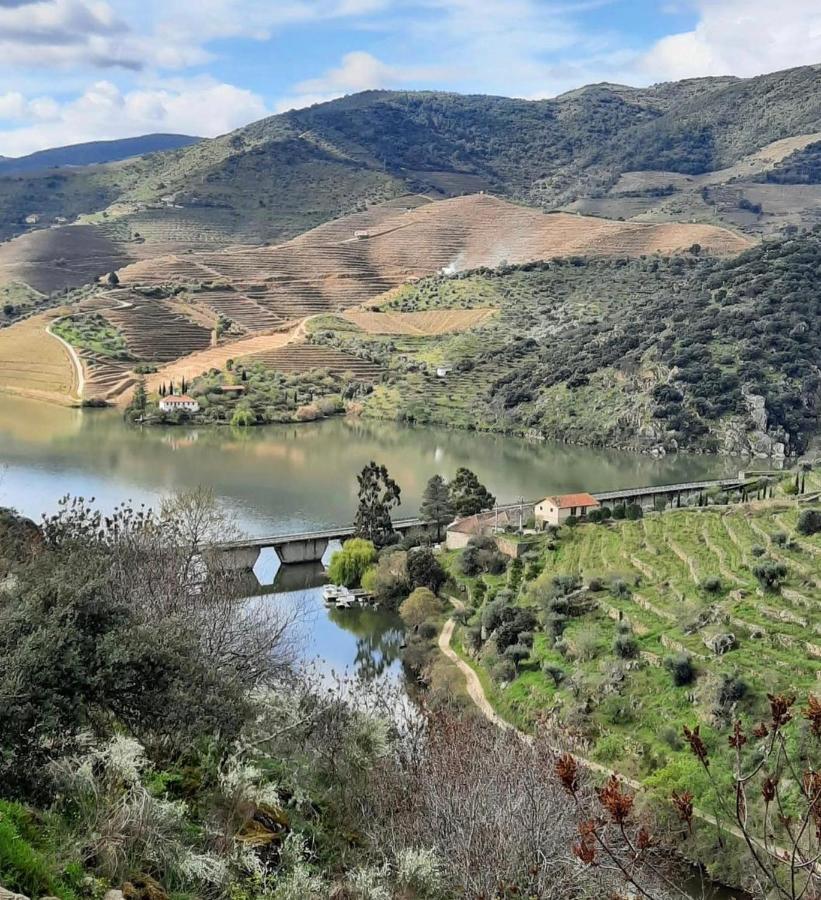 Country house Quinta Da Ferradosa Wines