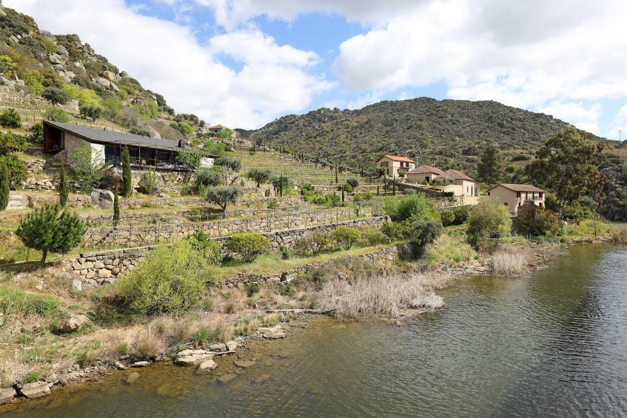 Country house Quinta Da Ferradosa Wines