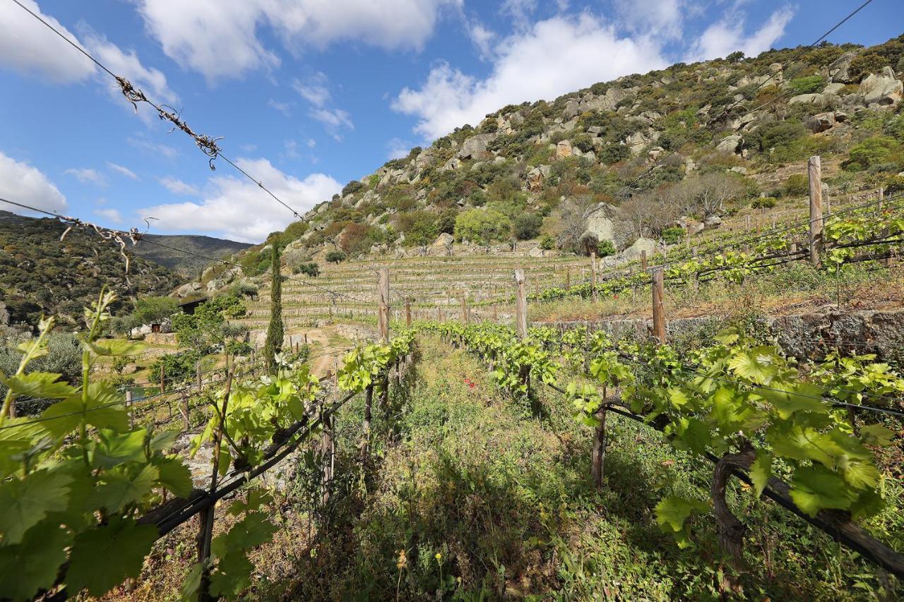 Country house Quinta Da Ferradosa Wines *