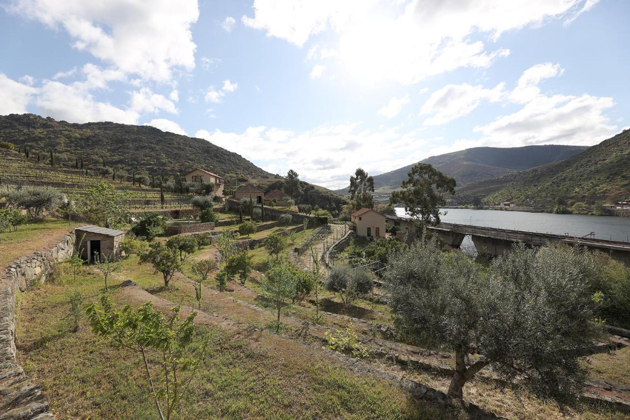 Quinta Da Ferradosa Wines