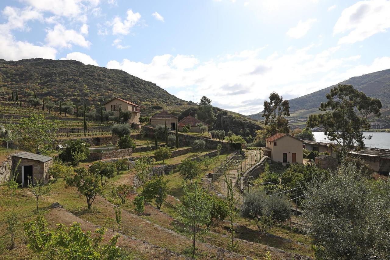 Quinta Da Ferradosa Wines Sao Joao da Pesqueira