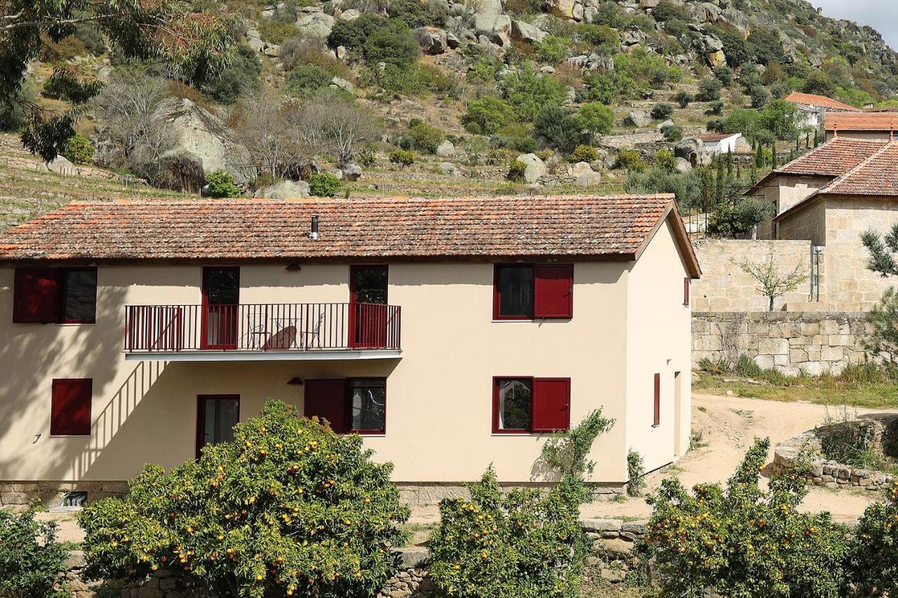 Country house Quinta Da Ferradosa Wines