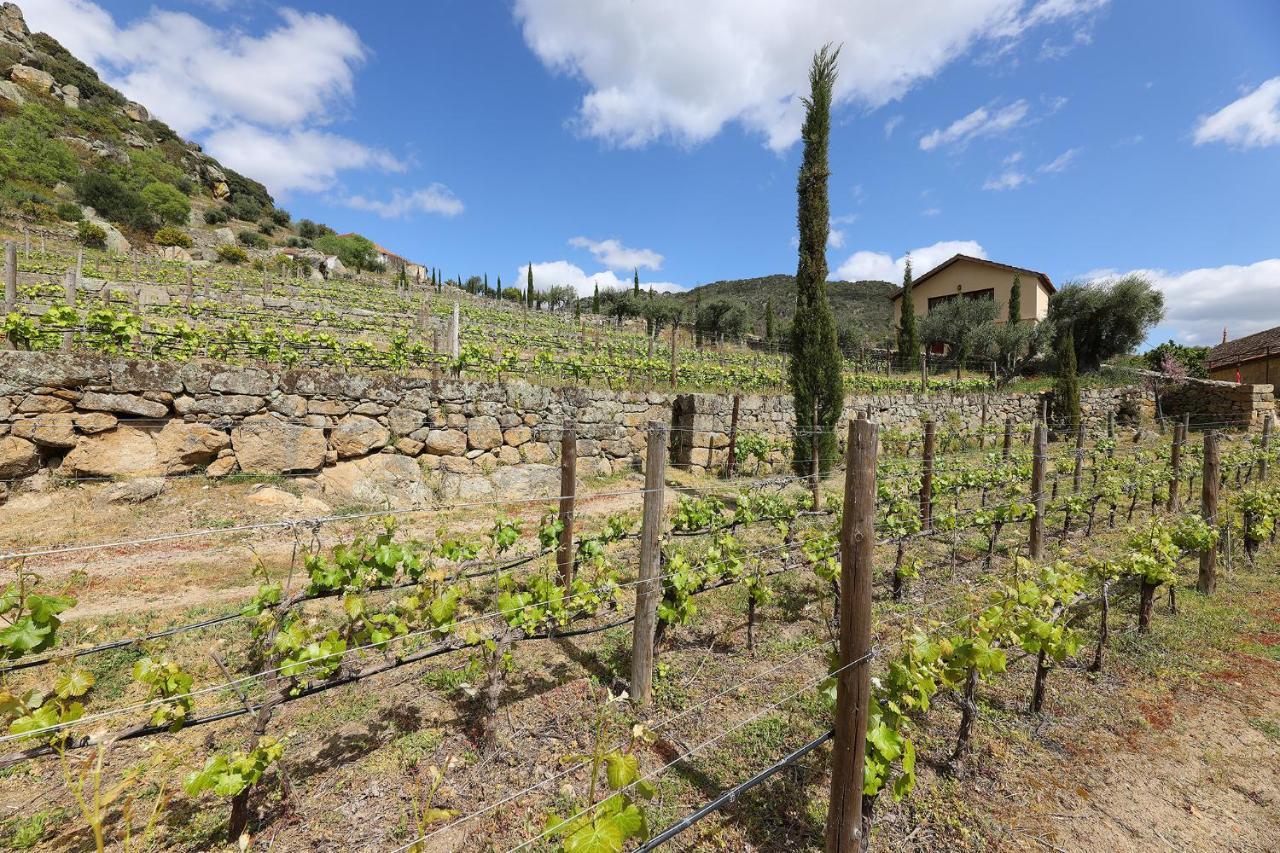 Quinta Da Ferradosa Wines