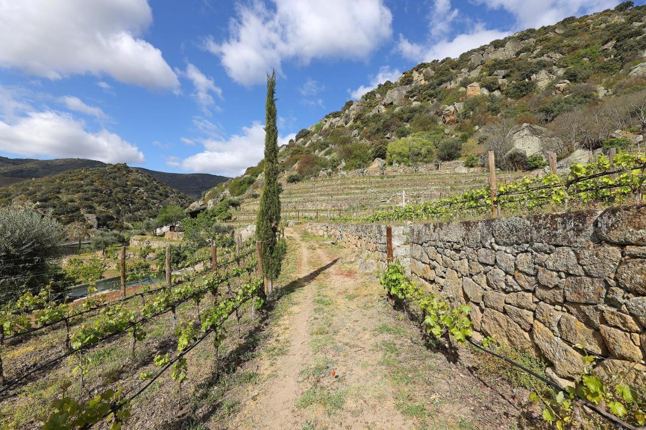 Quinta Da Ferradosa Wines * São João da Pesqueira
